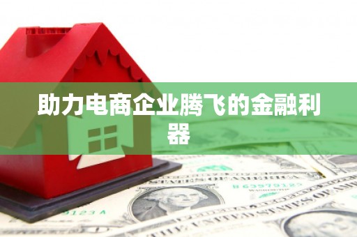 绥阳助力电商企业腾飞的金融利器