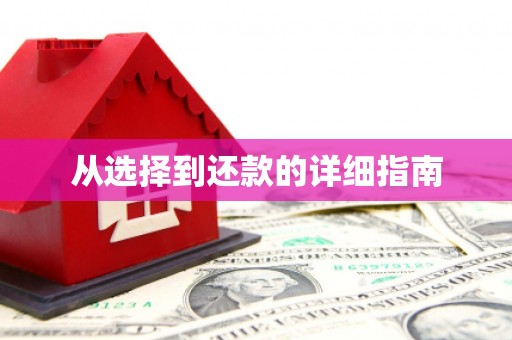 绥阳从选择到还款的详细指南