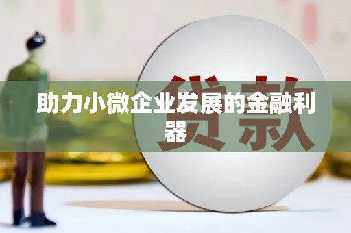 绥阳助力小微企业发展的金融利器
