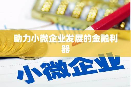 绥阳助力小微企业发展的金融利器