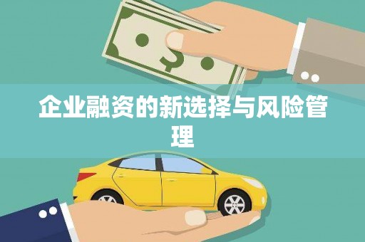 绥阳企业融资的新选择与风险管理