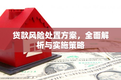 绥阳贷款风险处置方案，全面解析与实施策略