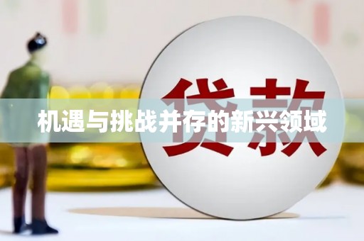 绥阳机遇与挑战并存的新兴领域