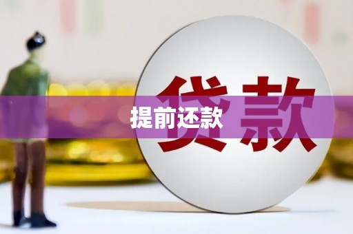 绥阳提前还款