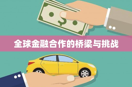 绥阳全球金融合作的桥梁与挑战