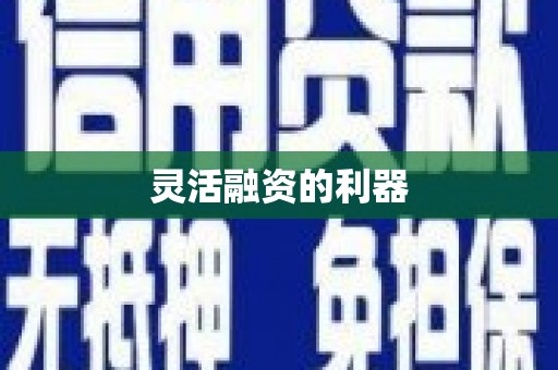 绥阳灵活融资的利器