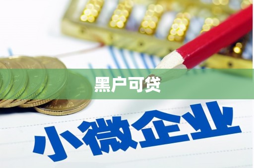 绥阳黑户可贷