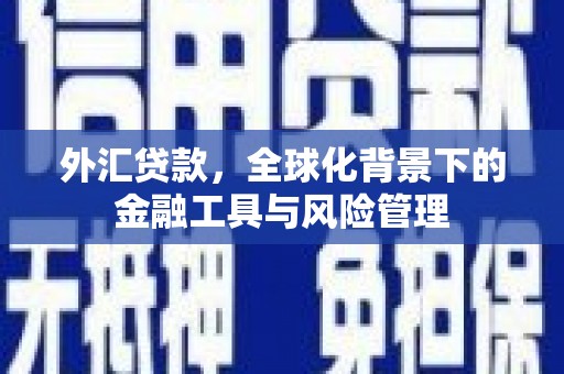 绥阳外汇贷款，全球化背景下的金融工具与风险管理