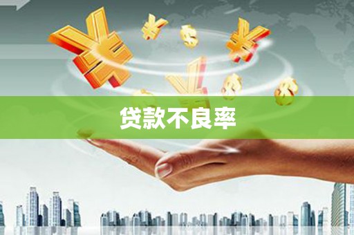 绥阳贷款不良率